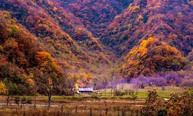 中国金秋10大最美红叶林，铺天盖地的红，火红撩人