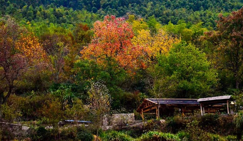 这11个古村落，藏着最诗意的秋天，选一个去过几日悠闲慢生活