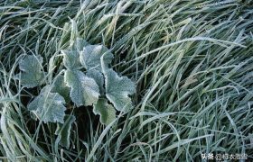 霜降节气大气美诗六首：秋深山有骨，霜降水无痕