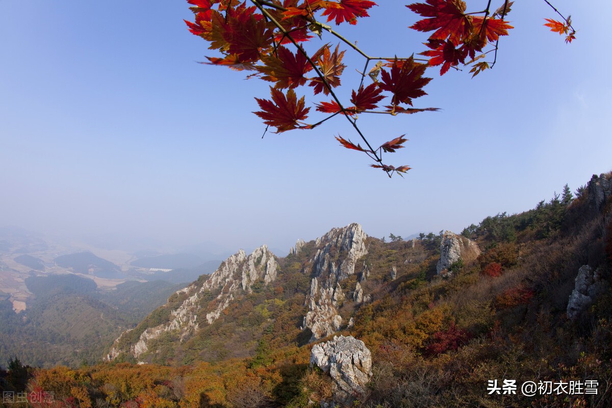 立冬节气古诗六首：寒色不遮万山翠，忽见桃花出小红