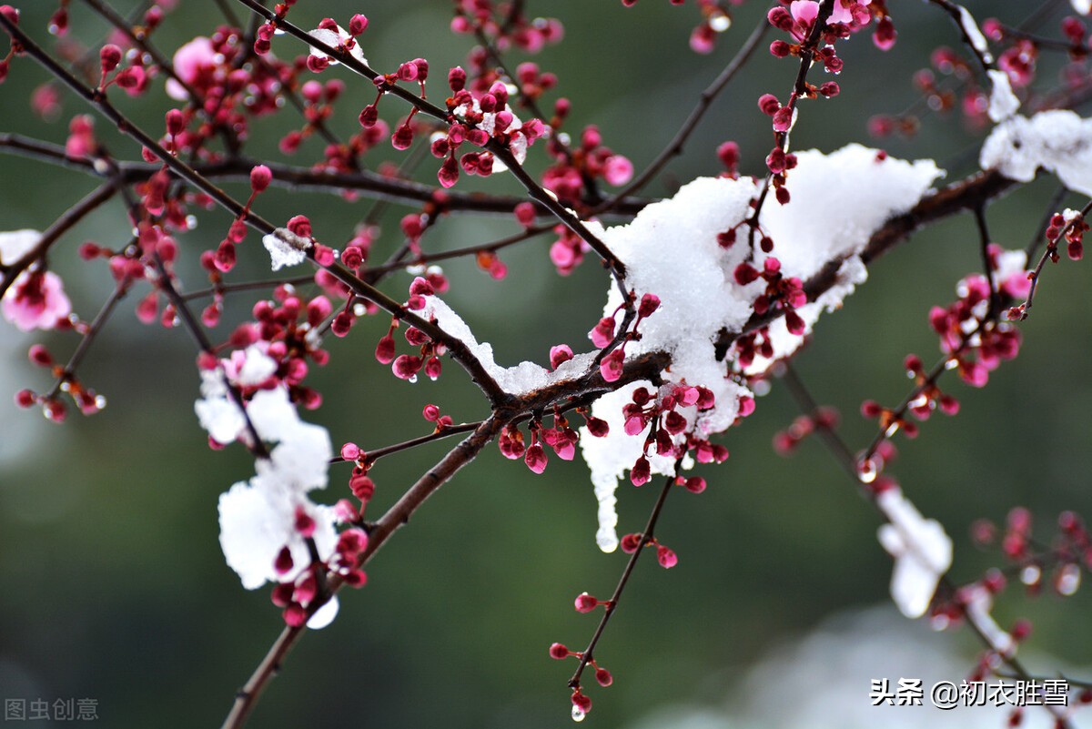 ​小雪节气小雪古诗七首：枫落吴江小雪天，一片飞来一片寒