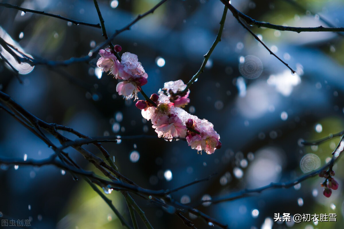 ​小雪节气小雪古诗七首：枫落吴江小雪天，一片飞来一片寒