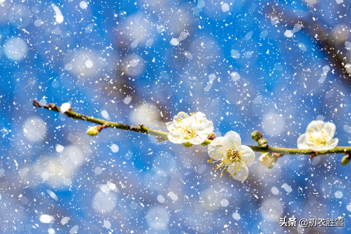 ​小雪节气小雪古诗七首：枫落吴江小雪天，一片飞来一片寒