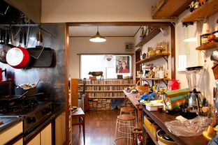 日本治愈系书籍《厨房》：变性人母亲的厨房，成为了人生的治愈所