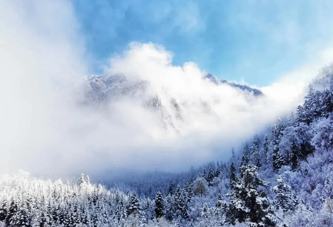 雪后的九寨沟，才是真正的人间仙境！让人惊叹，让人欣喜