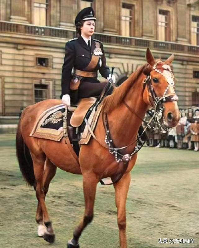 老照片：在街头向美军乞讨的日本人，骑马的英国女王伊丽莎白二世