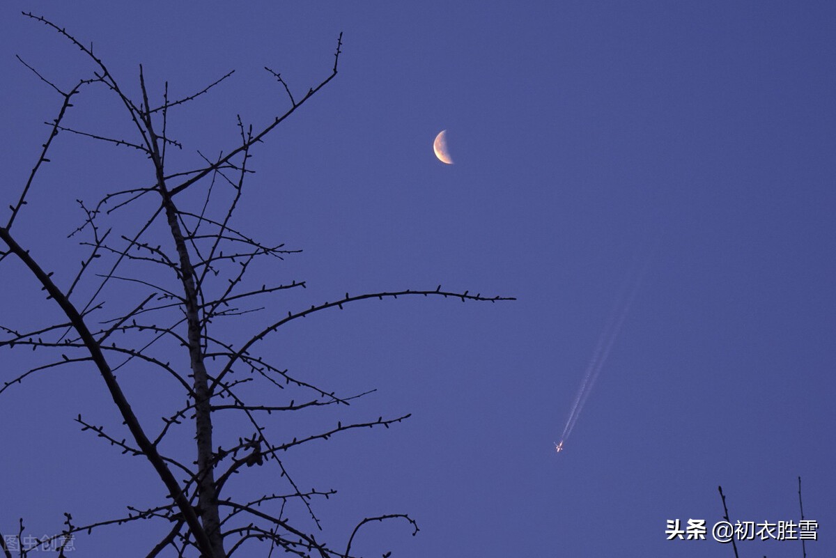 仲冬清旷美诗六首：三弄梅花促归去，一天明月又相留