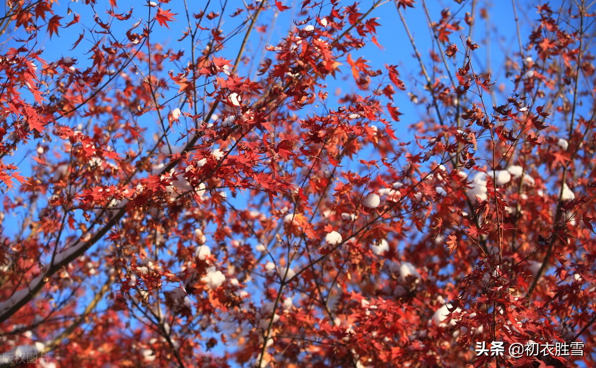 雪晴美诗五首：气动千峰翠，光浮万瓦鳞