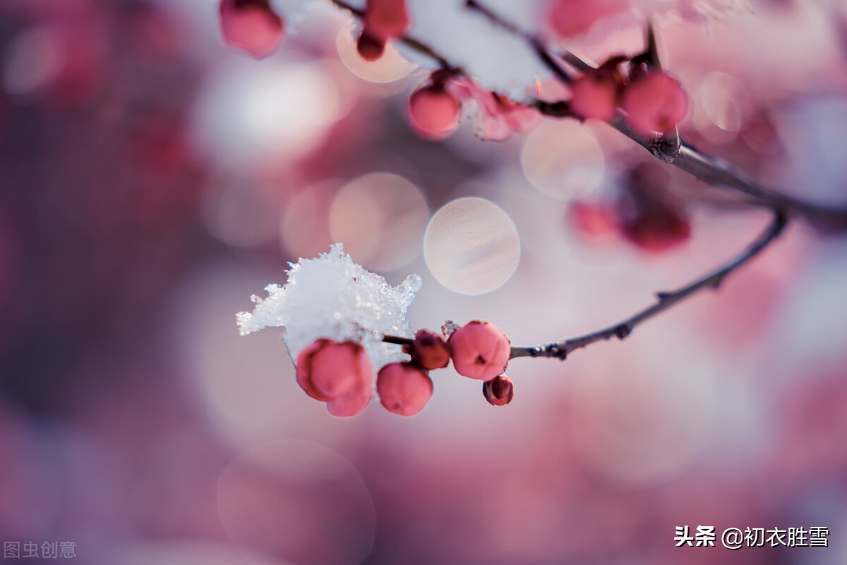 大雪节气瑞雪诗六首：飞雪正应大雪节，腊前三白遍民田