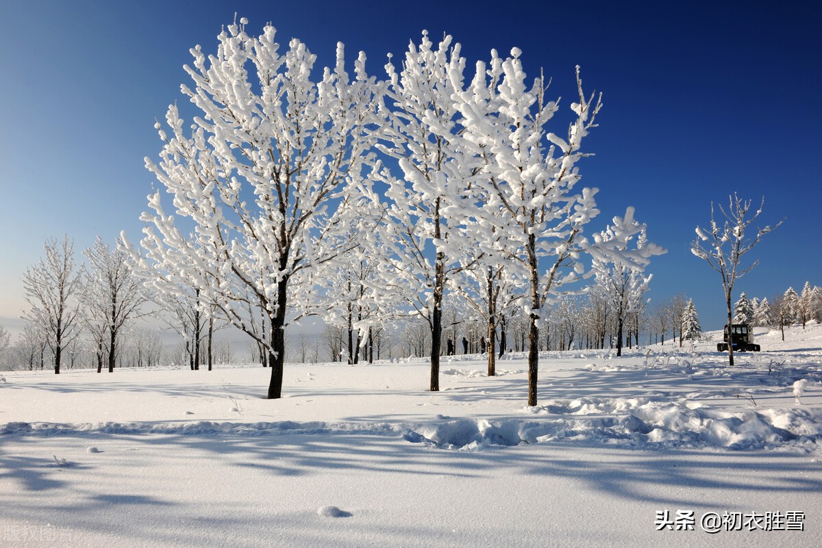 雪晴美诗五首：气动千峰翠，光浮万瓦鳞