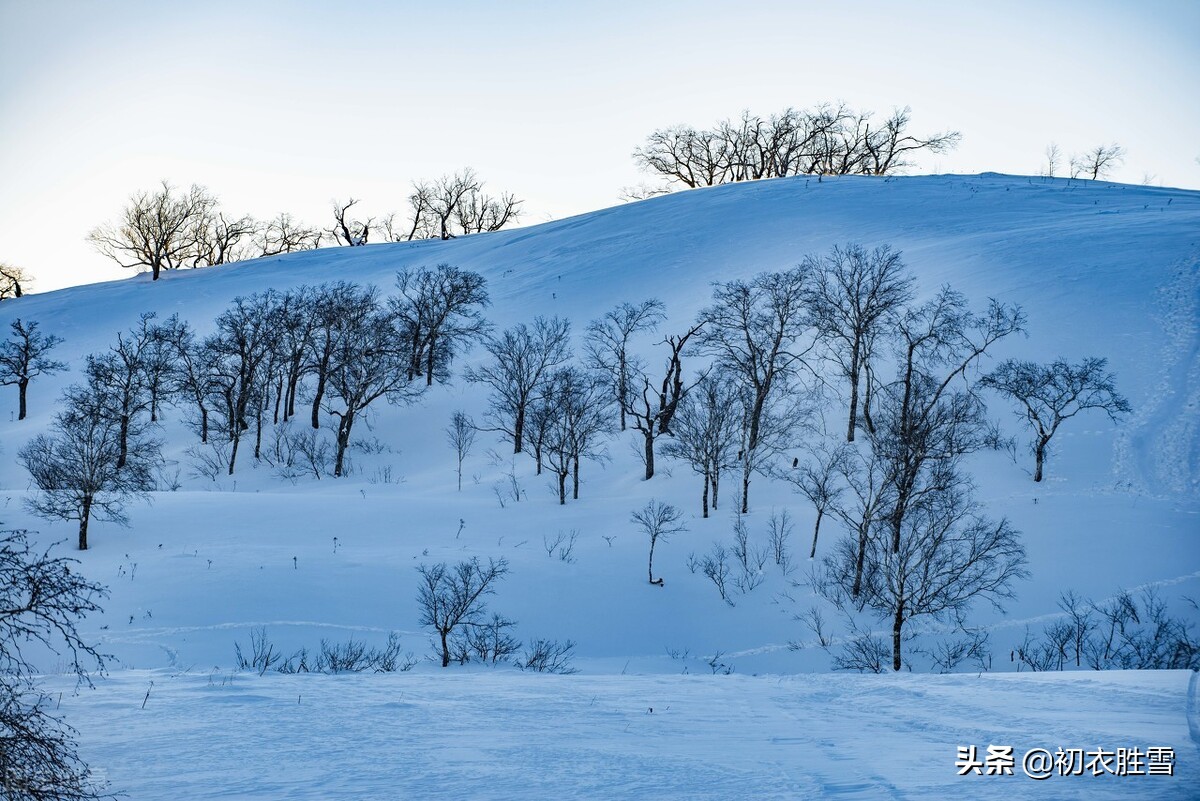 大雪节气瑞雪诗六首：飞雪正应大雪节，腊前三白遍民田