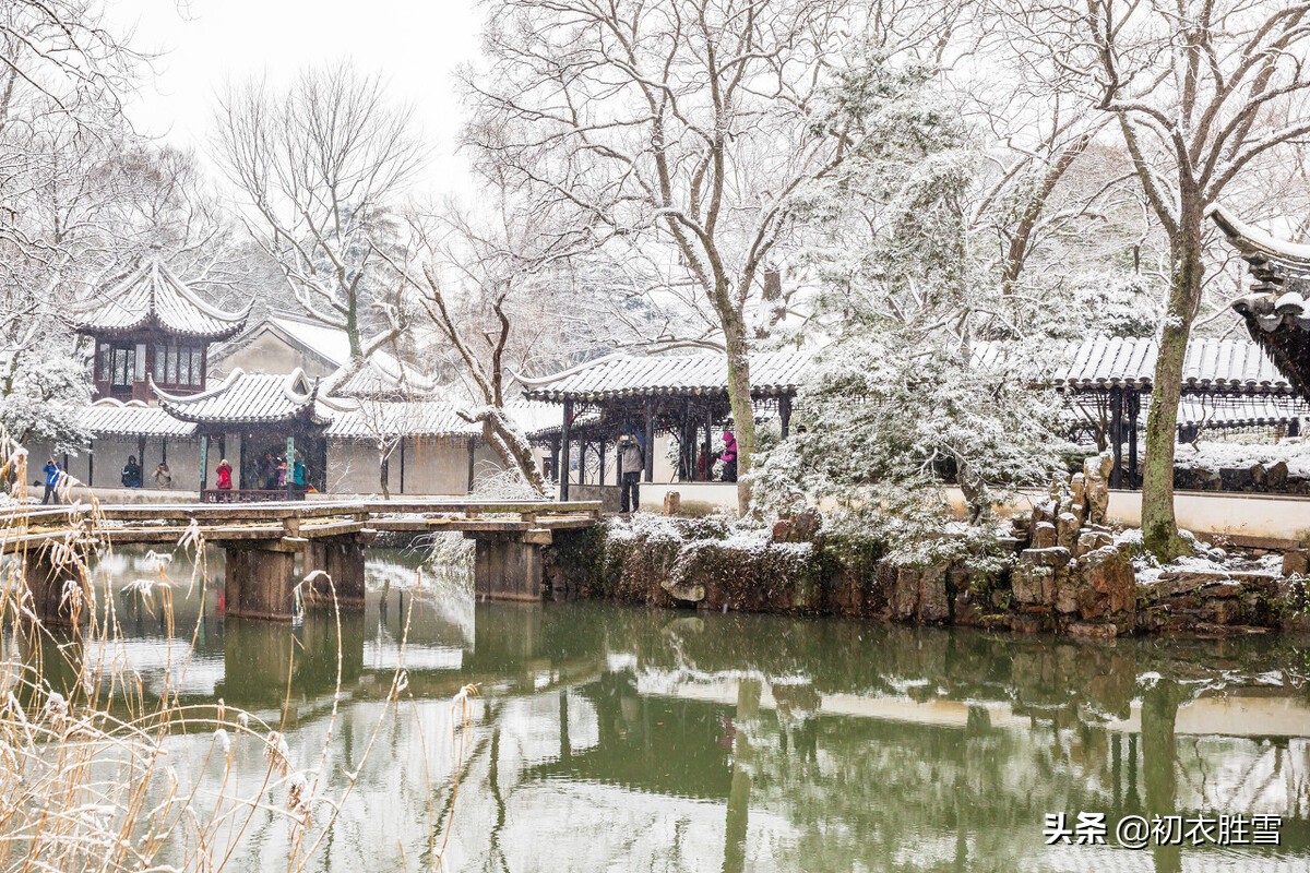 腊雪迎春美诗七首：送腊迎春一岁成，雪里迎春倍物华