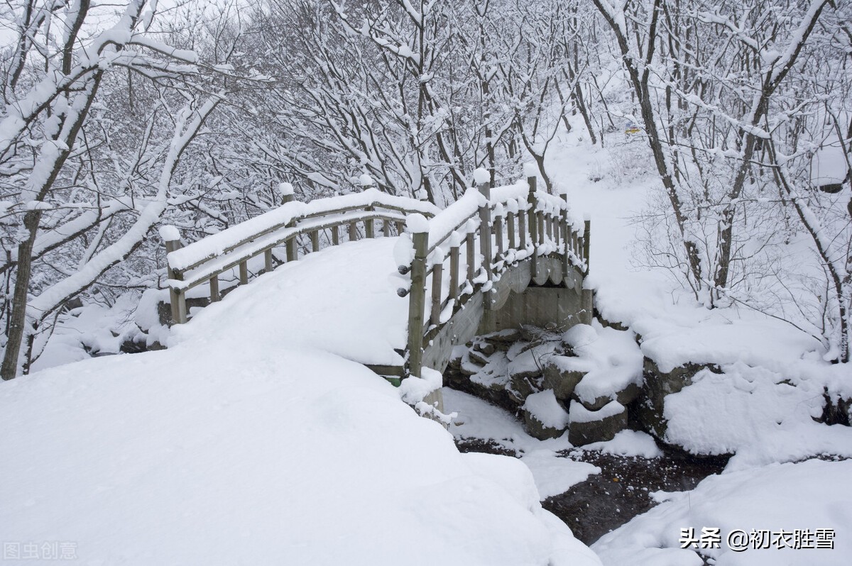 古诗中的飘飘雪八首：严寒瑞雪正飘飘，烂漫横陈玉树花