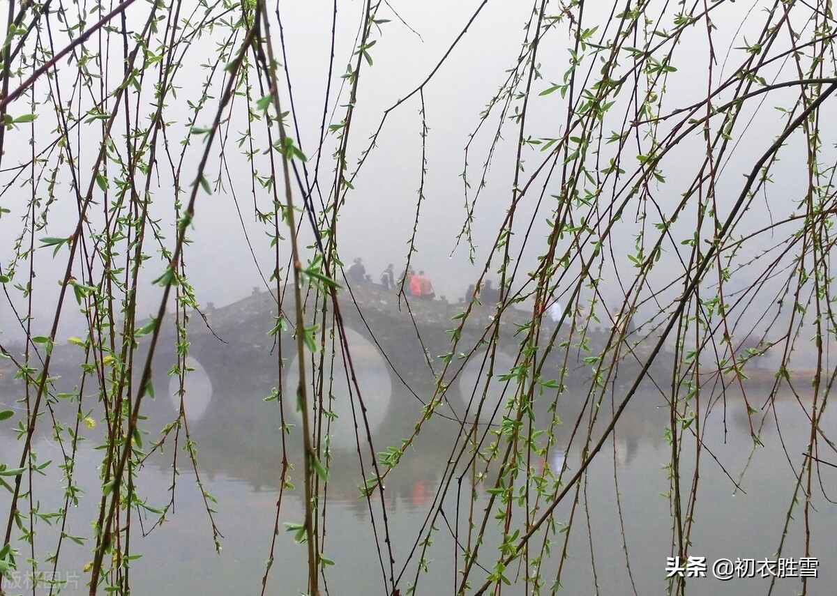 早春春雨春水古诗四首：春雨晴时春水生，有几梅花更晚风