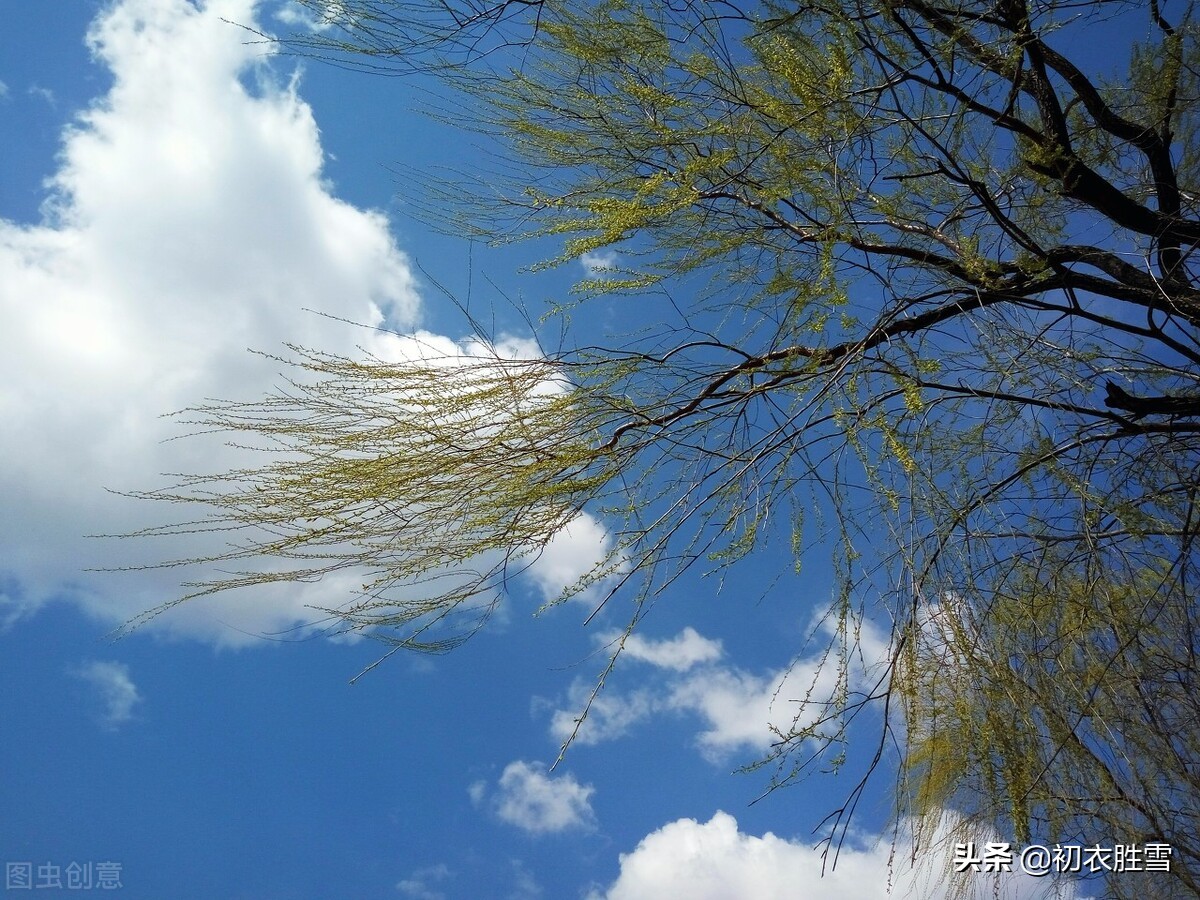 春风美诗七首：春风扇微和，春风起春树