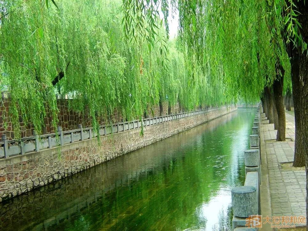 不同时代记忆中的郑州金水河