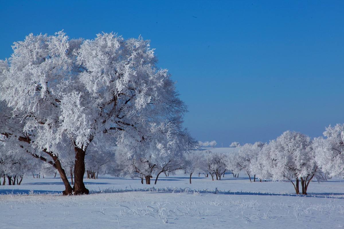 散文 | 艾平：温暖的冰雪覆盖着我的家乡