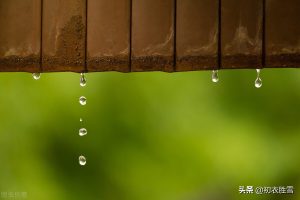 二十四节气之雨水五首：天一实生水，酝酿出春天