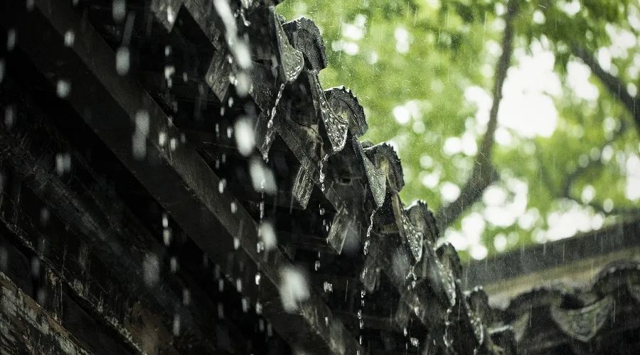 夜读丨故乡的春雨