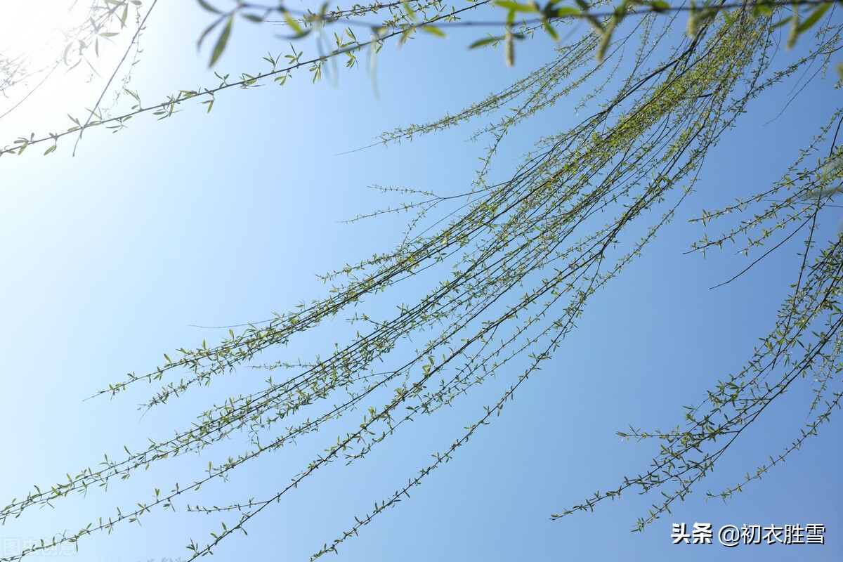 仲春二月名家美词六首，晏殊明丽，欧阳修秾丽，而晏几道清新柔情