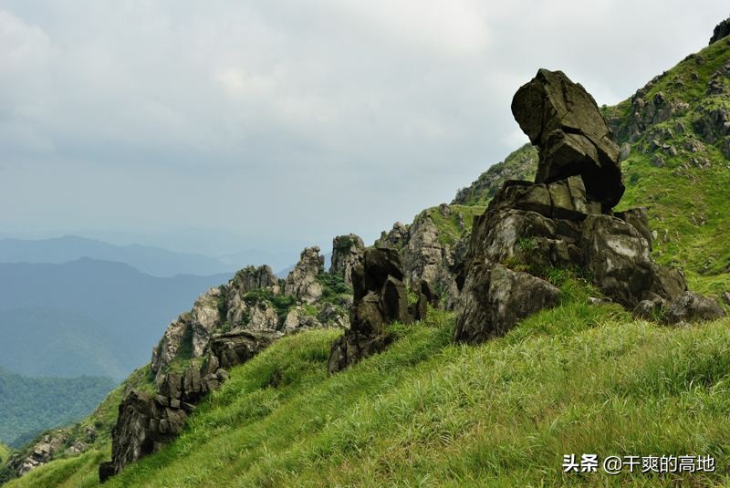 散文丨刘云芳：石头的修行