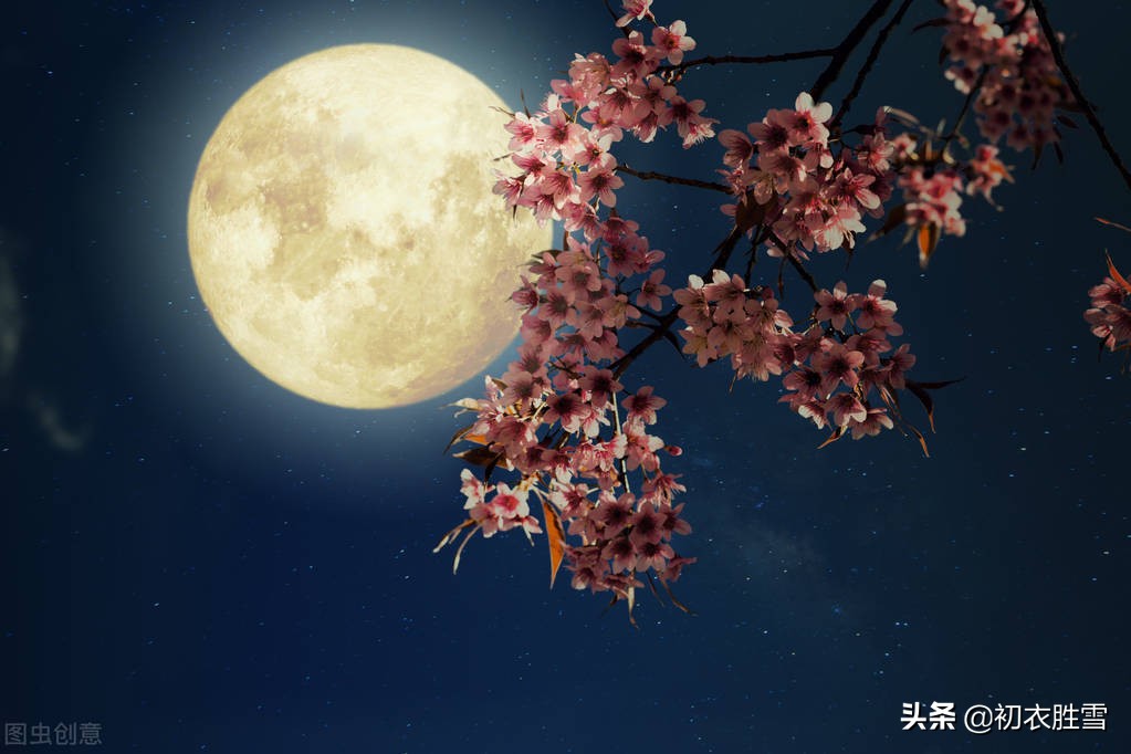 古诗八首看花朝节的演变，从唐朝的落花朝，到宋朝的花朝节
