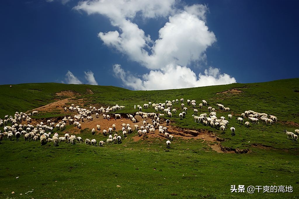 散文丨刘云芳：石头的修行