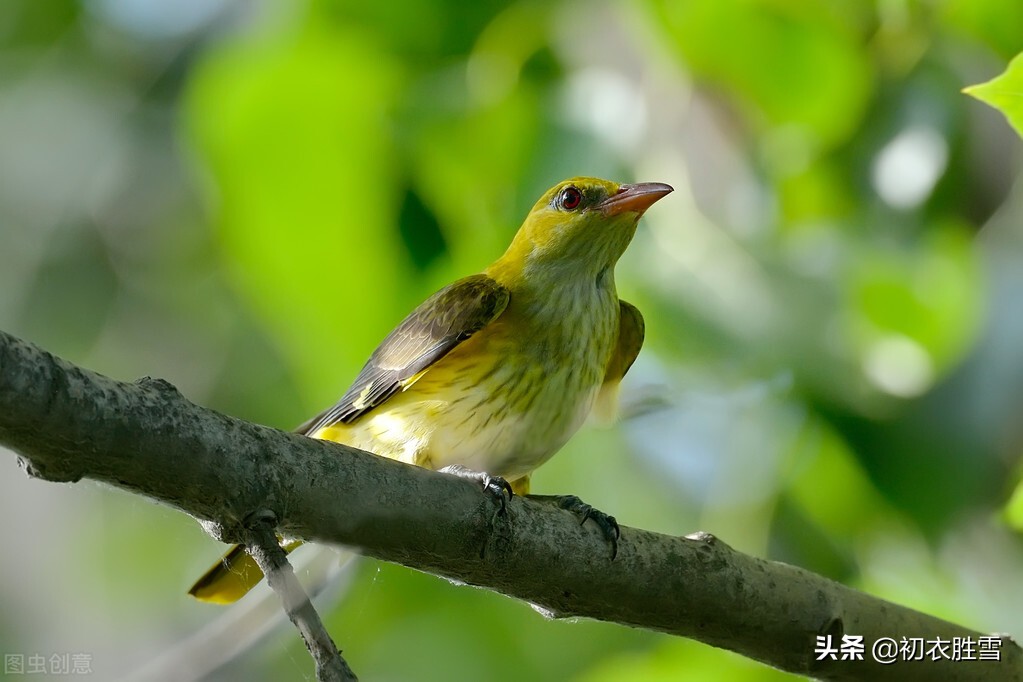 明丽晚春美诗七首：楼外青山似故人，雨余山色静无尘