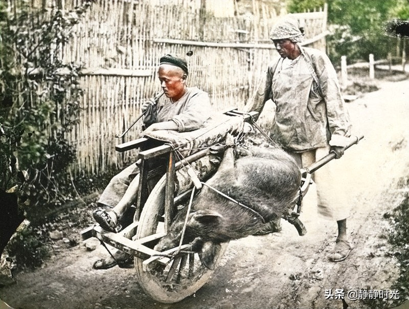 晚清老照片：精瘦男子穿蟒袍，独轮车载大肥猪，富家公子大吃大喝