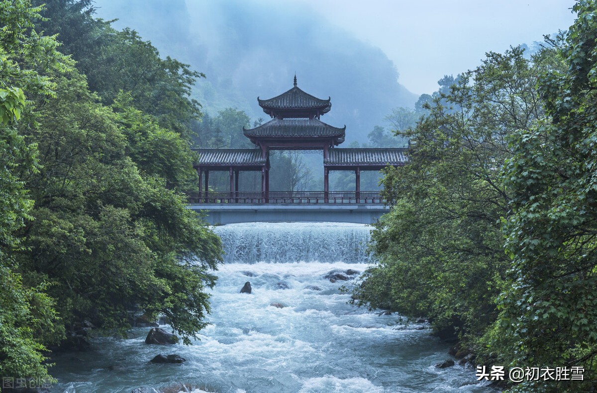 旖旎初夏江南四月美诗七首：四月江南烟雨阔，人家都在绿荫中