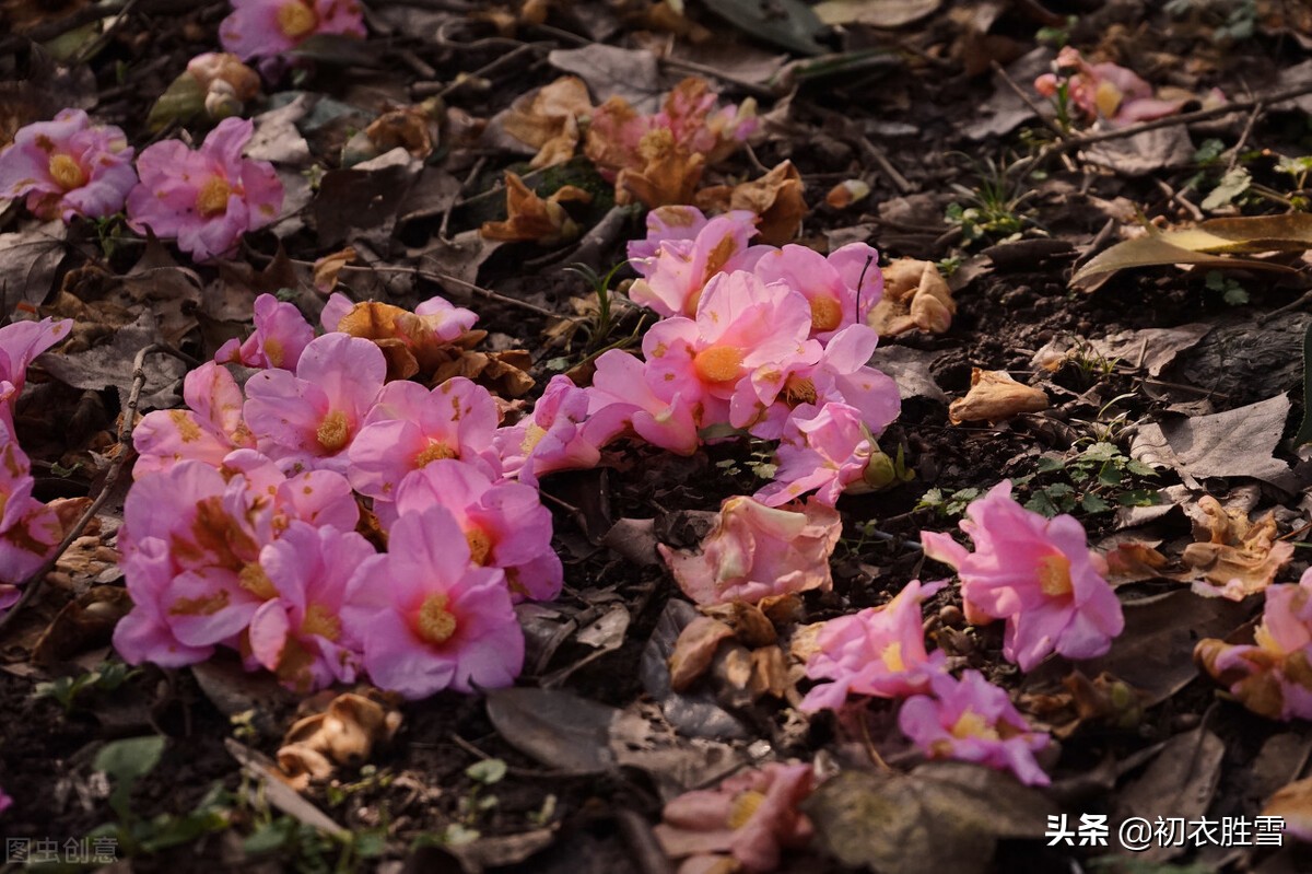 晚春晦日送春古诗七首赏读：芳菲歇去何须恨，夏木阴阴正可人