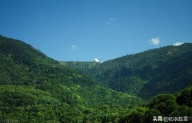 二十四节气立夏诗篇七章：立夏四月节，朱明盛长，甫与万物