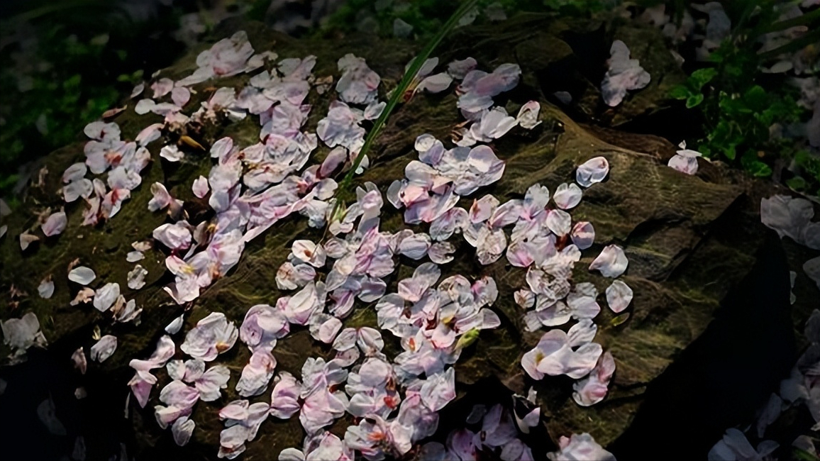 庭院深深深几许？只听得风又飘飘，雨又萧萧