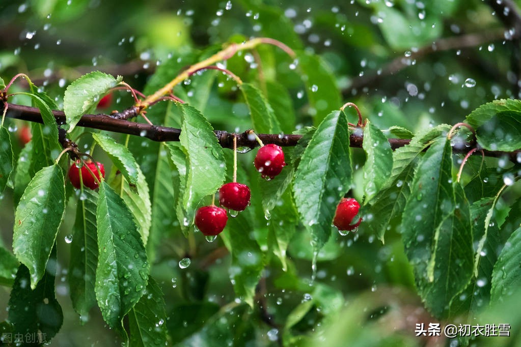 旖旎初夏江南四月美诗七首：四月江南烟雨阔，人家都在绿荫中