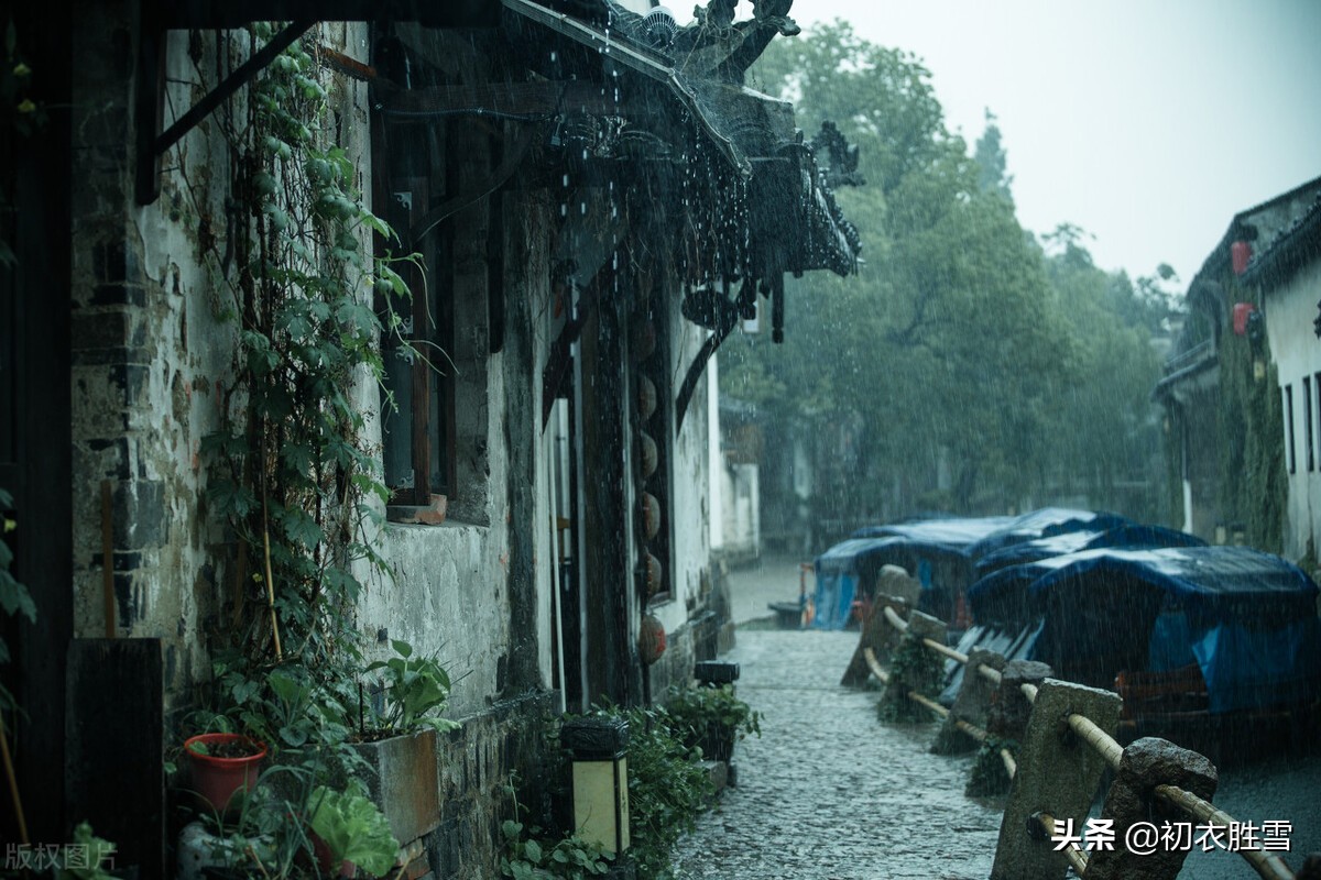 古诗梅雨季五首：梅雨洒芳田，黄梅雨气蒸