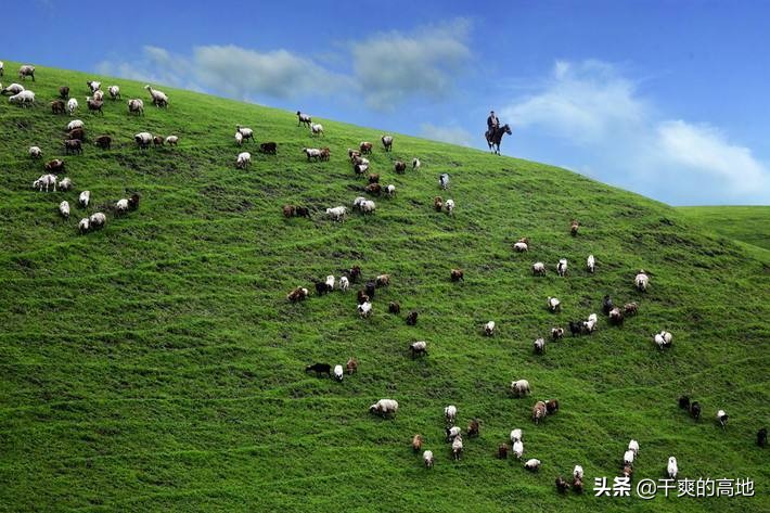 散文 | 李霁：大山里的牧羊人