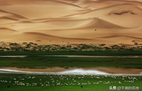 散文诗丨亚 楠：大漠绿洲