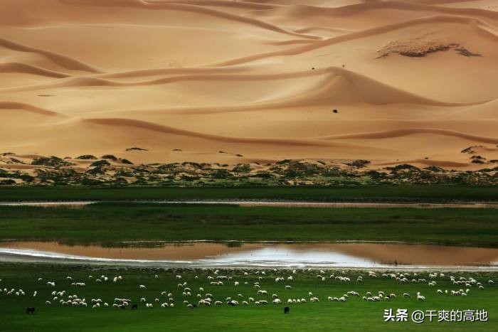 散文诗丨亚 楠：大漠绿洲