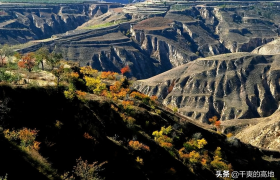 散文丨马 语：开在陕北高原上的窗花