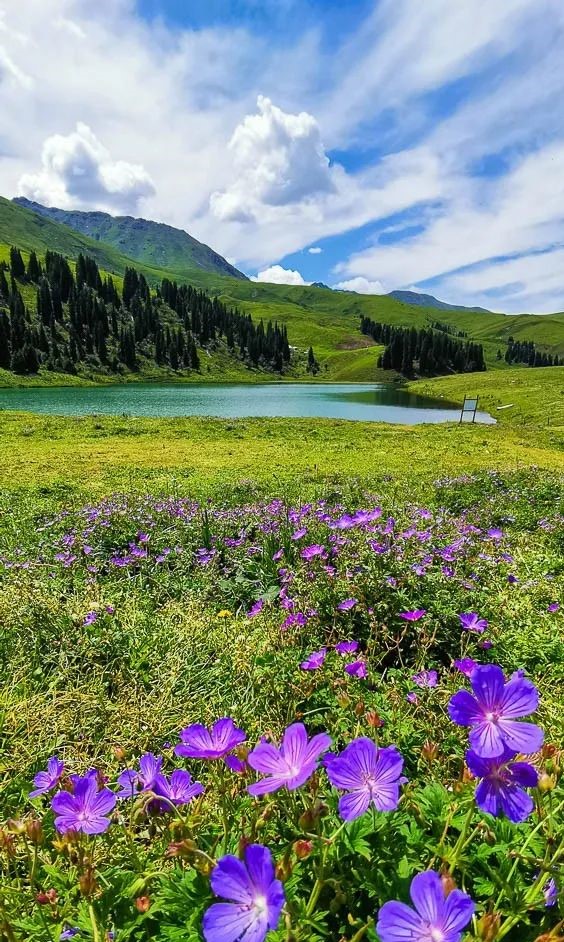 新疆风景 伊犁地区图片