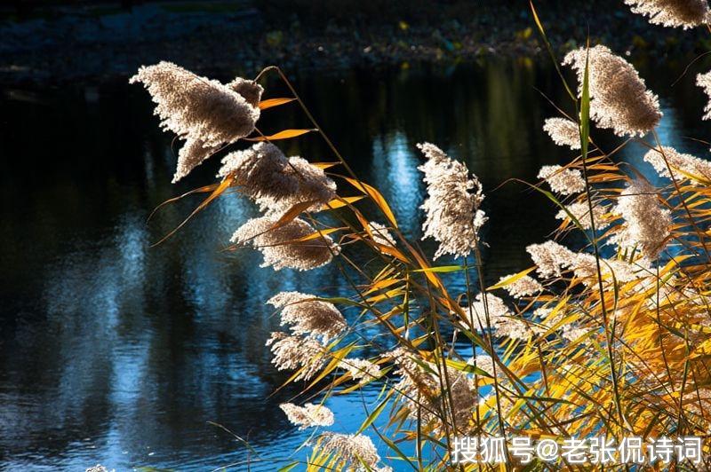 唐代诗人马戴《灞上秋居》没有出现一个秋字，却字字都在写秋天的悲苦