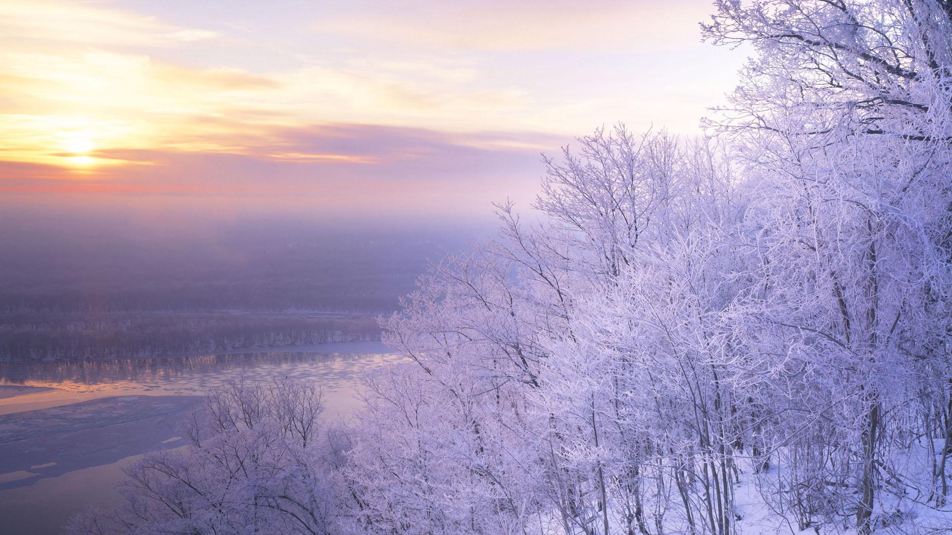诗词中的四时景「冬」——若得岁月一闲时，便是冬日懒看雪
