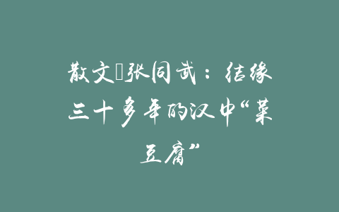 散文｜张同武：结缘三十多年的汉中“菜豆腐”