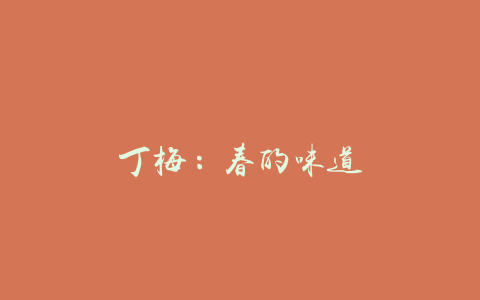 丁梅：春的味道