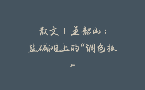 散文 | 王韶山：盐碱滩上的“调色板”