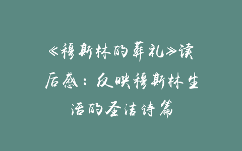 《穆斯林的葬礼》读后感：反映穆斯林生活的圣洁诗篇