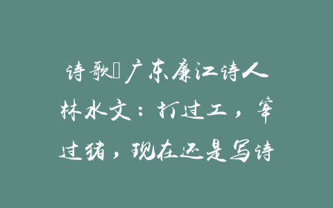 诗歌｜广东廉江诗人林水文：打过工，宰过猪，现在还是写诗