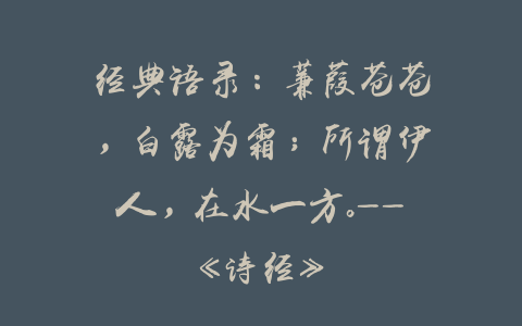 经典语录：蒹葭苍苍，白露为霜；所谓伊人，在水一方。——《诗经》