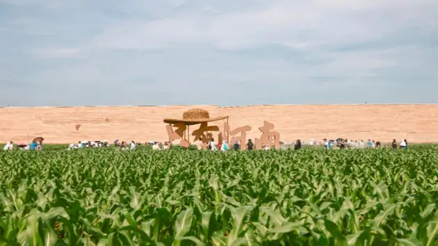 踏黄土寻文脉:只有河南戏剧幻城深度游记