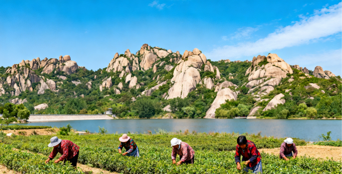 驻马店旅游全攻略：天下之中，中原盆景
